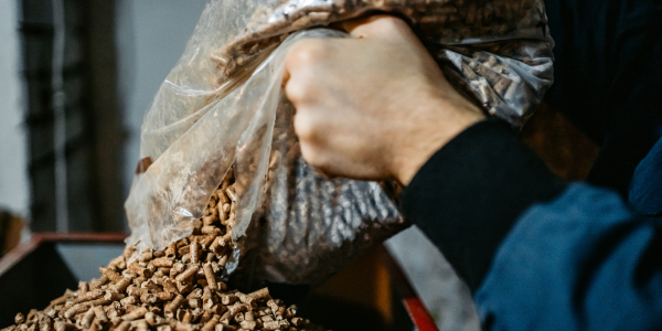 Fai la formica e non la cicala. Approfitta ora del prezzo prestagionale!