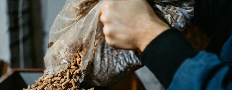 Fai la formica e non la cicala. Approfitta ora del prezzo prestagionale!